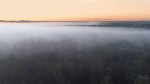空中显示森林和河流上空的雾