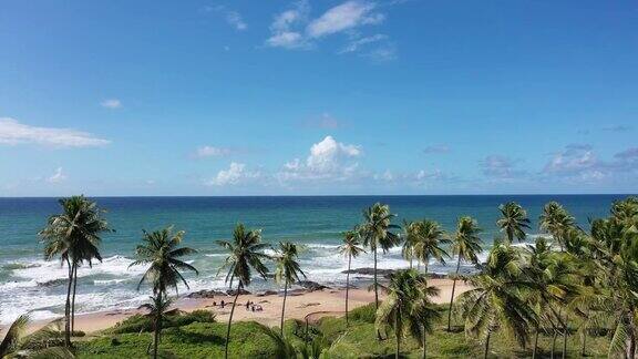 椰子树、大海、沙滩