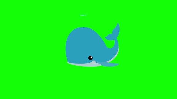 鲸鱼图标4K动画
