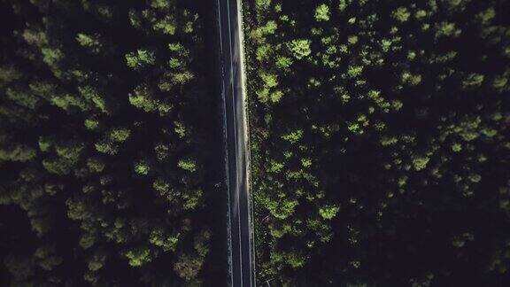 森林里的路空中拍摄