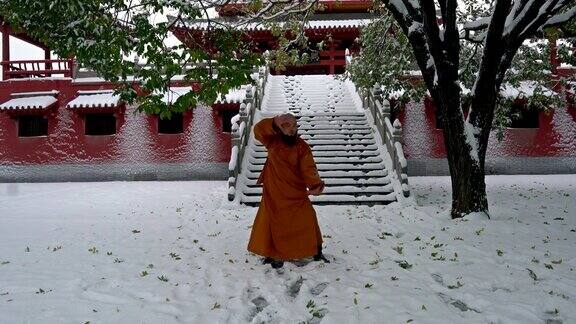 中国少林寺功夫武僧