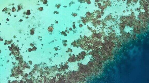 鸟瞰图的珊瑚礁在马尔代夫