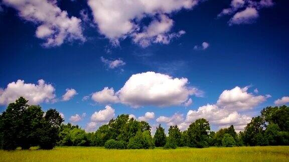 草地、森林和天空
