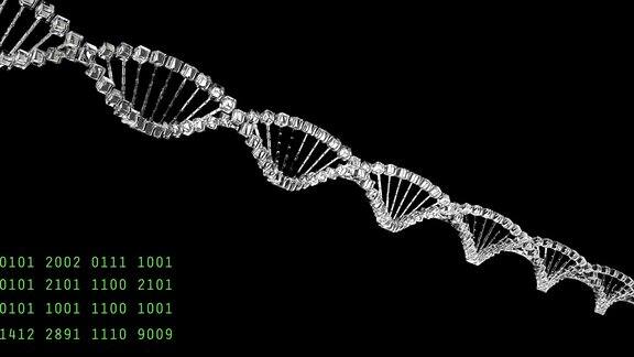 DNA结构分析法医研究基因基因紊乱科学能够循环的玻璃分子