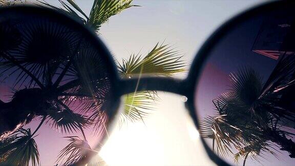 太阳和棕榈树透过太阳眼镜