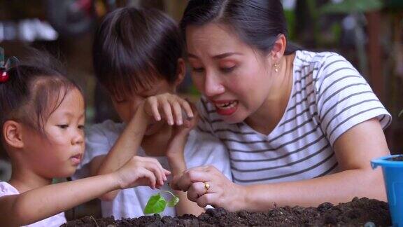 母亲教她的孩子种植植物