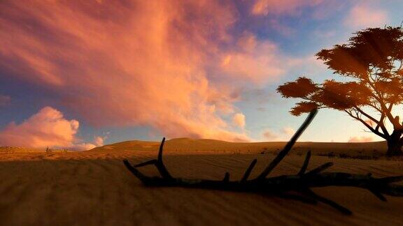 沙漠绿洲日落相机飞