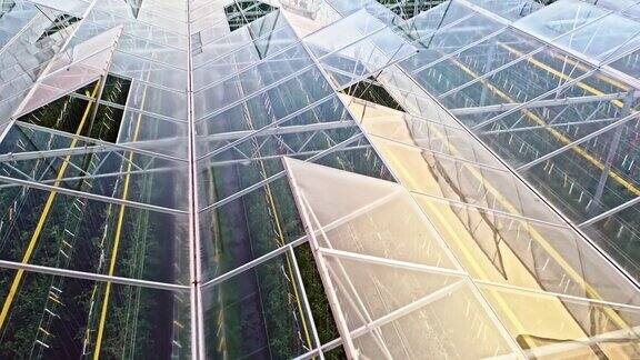 温室的空中玻璃屋顶