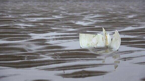 塑料饮料杯在泥滩、塑料垃圾、瓦、环境污染