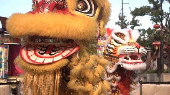中国雄狮表演农历新年庆典