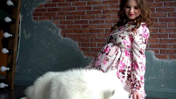 穿着粉红色裙子的年轻孕妇和她的白色大狗