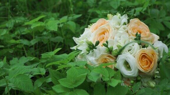 绿草背景上的一束美丽的玫瑰夹草丛中有一束玫瑰