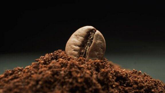 单一咖啡豆和研磨咖啡微距镜头