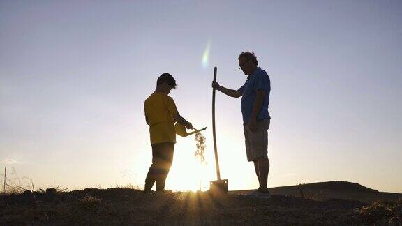 日落时男孩和他的父亲正在给树浇水