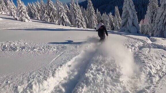 滑雪的人冲过森林在新的深雪粉慢动作