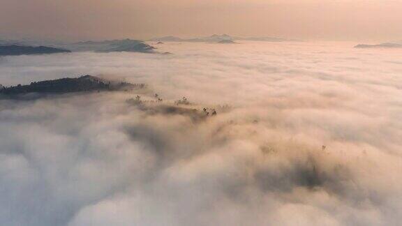 日出时乡下有一大片雾非常梦幻