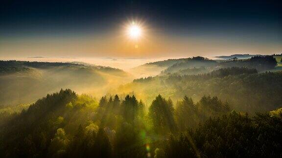 雾蒙蒙的森林上的日出