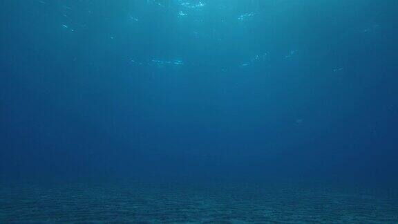 微妙和平滑的水下神光效果在4K