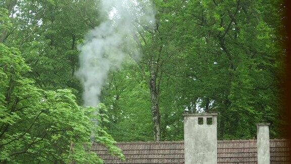 森林里一所房子冒出冒烟的烟囱