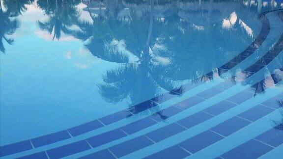 游泳池中椰子树的倒影