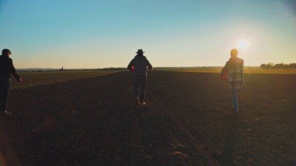 三个农民拿着水桶在日落时播种