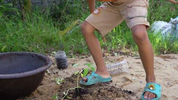 一个亚洲男孩在自家花园里种树