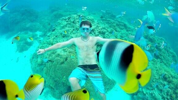 水下慢动作:男子浮潜异国情调的珊瑚礁与热带鱼