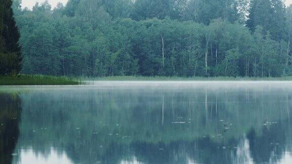 平静的湖面上飘过一层薄雾