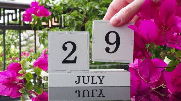 在放着芙蓉花的桌子上放着写有7月29日重要事件的木制日历一个女人的手在日历上设定日期将日历翻到一个立方万年历夏月