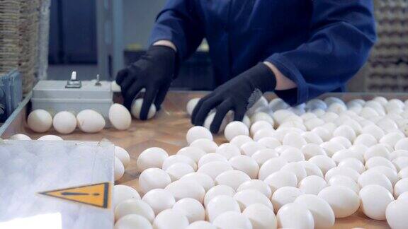 农场工人将鸡蛋放入包装中侧视图
