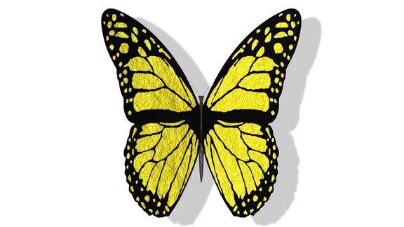 3D插图-视频张开翅膀的彩色蝴蝶