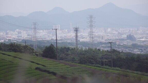 茶园和城市背景