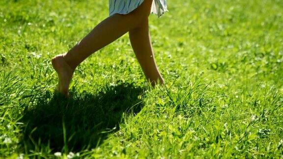 特写镜头的女人的腿走在绿色的夏季草地上她穿着时髦的衣服拿着手机快乐的夏天