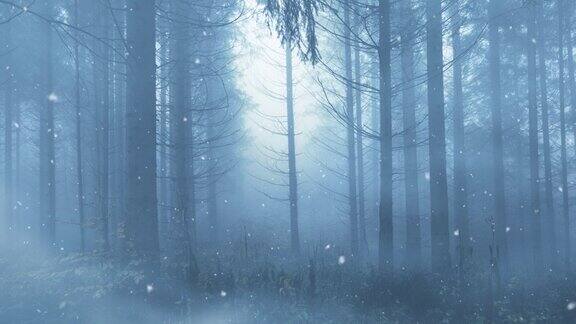 神秘的雾森林和降雪