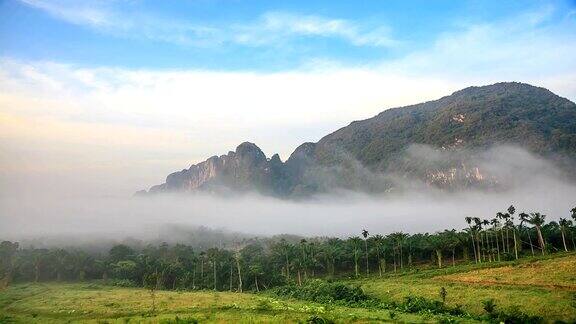 泰国热带雨林的晨雾延时拍摄