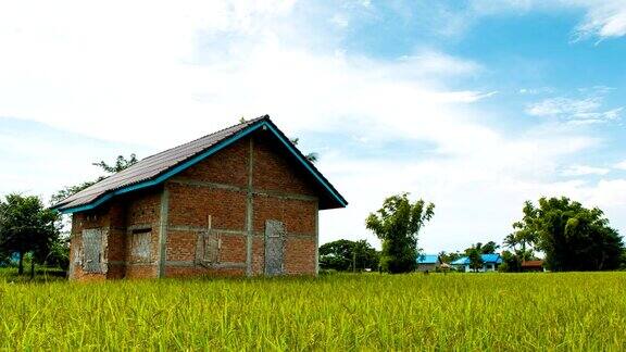 稻田和废弃的房子