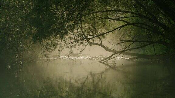 这条河在晨雾中