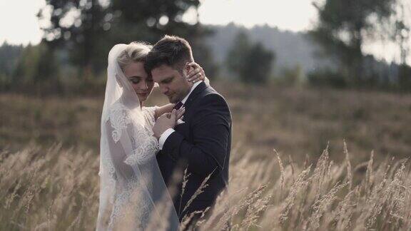 非常美丽的新娘和新郎正在享受浪漫时光风在森林里吹着麦穗