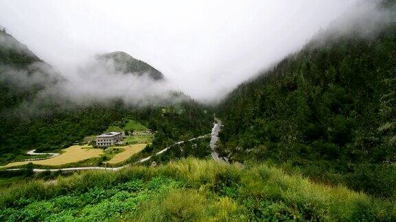 雾流垭口山