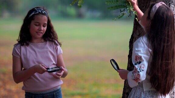 两个美丽的年轻女孩和朋友们透过放大镜看植物上的昆虫和在公园里玩耍阳光明媚的秋日在公园里说说笑笑