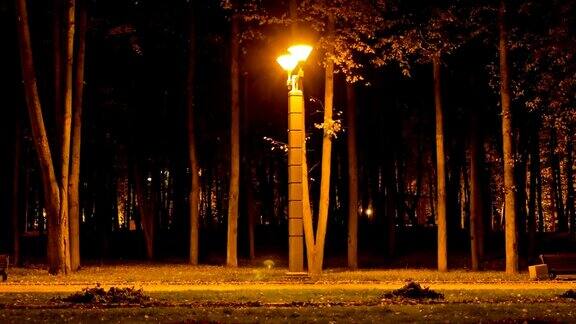 胜利公园的灯笼秋天延时动作拍摄