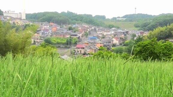 日本绿色土地的风景