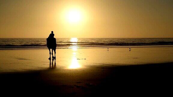一个柏柏尔人在日落时骑骆驼