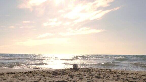 经典的黑白足球在日落时分被海浪带到海边的水里