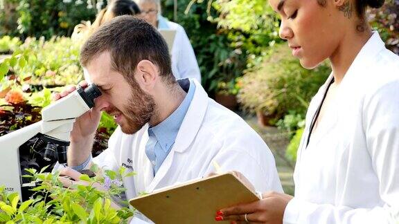 男性和女性植物学家分析植物样本