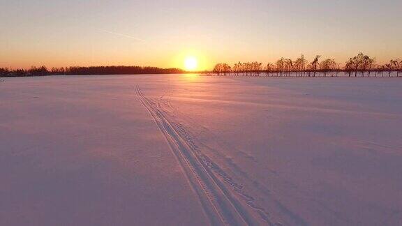 在冬日田野的夕阳下飞翔