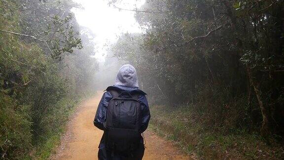 徒步女子背包行走在热带潮湿的森林年轻的女孩在旅行中穿着雨衣在森林小径上跟随女游客踩在丛林小径慢镜头后视图