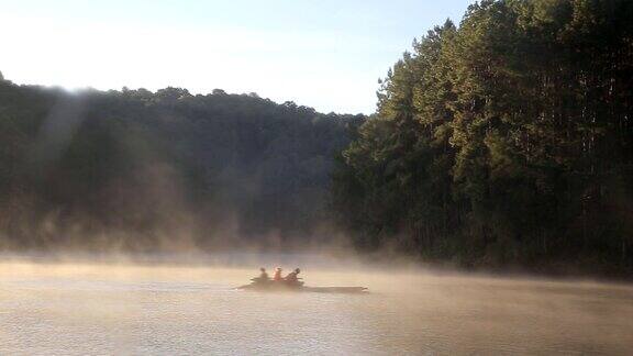 雾在早上的水在pangung松树林在MaeHongSon泰国