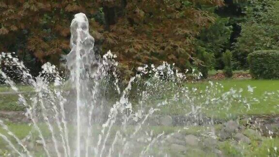水从爱沙尼亚公园的喷泉中涌出