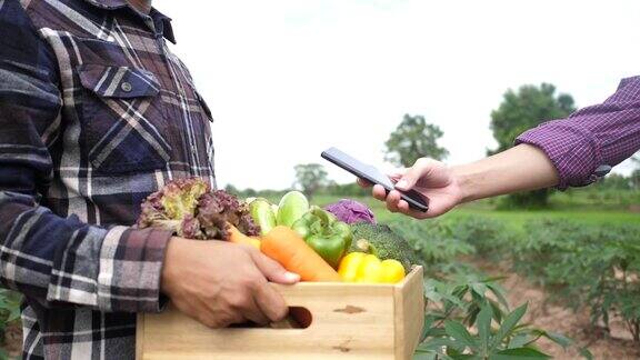 顾客在农场用手机检查有机蔬菜